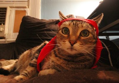 fb25d24dd9a8efdee32884bcafcc6c74